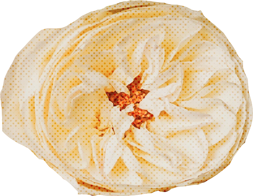 优雅复古花朵花卉植物字母装饰插画无缝背景PNG免抠手账设计素材【011】